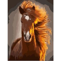 Картина по номерам Рыжий конь 40х50 см АртТойс