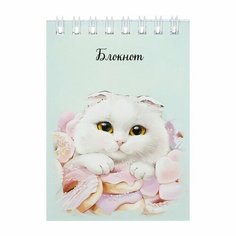 Блокнот А7, 40 листов в клетку, на гребне "Кот с пончиком", обложка мелованный картон, Уф-лак, блок 65 г/м2 Феникс