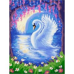 Картина по номерам Ночной лебедь 40х50 см Hobby Home
