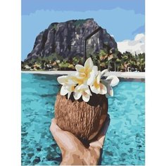 Картина по номерам Тропический коктейль 40х50 см Hobby Home