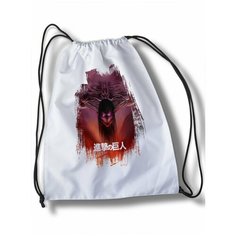 Мешок для cменной обуви аниме Атака титанов - 30492 Brut Boxers