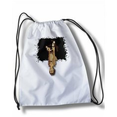 Мешок для cменной обуви аниме Атака титанов - 30485 Brut Boxers