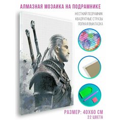 Алмазная мозаика на подрамнике - вышивка Ведьмак - Профиль 40 х 60 см Красиво Красим