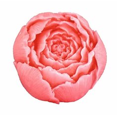 Силиконовая форма для мыла Маленький Пион №2 3D, для свечей гипса 1шт 3,5 х 3,5 х 3 см Нет бренда