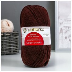 Пряжа "Секрет успеха" 100% шерсть 250м/100гр (251-Коричневый) Пехорка