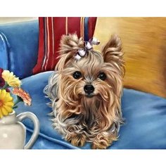 Алмазная мозаика круглыми стразами на подрамнике 40x50 - ZM-1252 Kolibriki