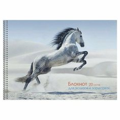 Listoff Альбом для эскизов А4, 20 листов на гребне "Грациозная лошадь", обложка мелованный картон, блок офсет 80 г/м2