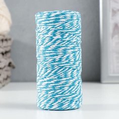 Пряжа 100% целлюлоза "Softino Raffia Color Melange" кручёная, голубая 100м ±2м 87 гр, 1шт