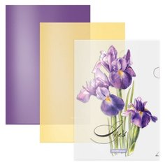 Набор из 3 папок-уголков пластиковых ErichKrause Soft Iris, А4, полупрозрачный, ассорти
