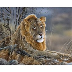 Алмазная мозаика на подрамнике 40x50 Царь зверей Лев Kolibriki
