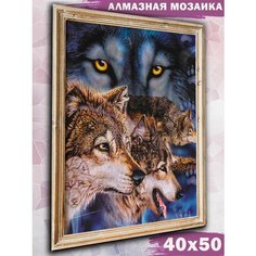 Алмазная мозаика на подрамнике Paintboy