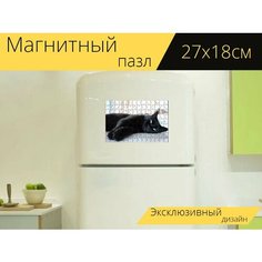 Магнитный пазл "Кошка, глаза, черный кот" на холодильник 27 x 18 см. Lots Prints
