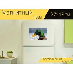 Магнитный пазл "Кряква, утка, вода" на холодильник 27 x 18 см. Lots Prints