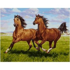 Картина по номерам Пара лошадей 40х50 см АртТойс