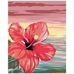 Картина по номерам Гибискус 40х50 см АртТойс