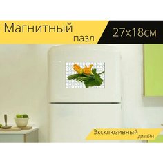 Магнитный пазл "Цуккини, кабачок, давить" на холодильник 27 x 18 см. Lots Prints
