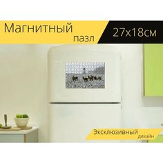 Магнитный пазл "Альпака, зима, снег" на холодильник 27 x 18 см. Lots Prints