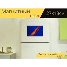 Магнитный пазл "Стрелиция, цвести, цветок" на холодильник 27 x 18 см. Lots Prints