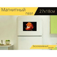 Магнитный пазл "Роза, цветок, завод" на холодильник 27 x 18 см. Lots Prints
