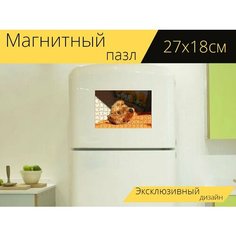 Магнитный пазл "Такса, собака смотреть, домашнее животное" на холодильник 27 x 18 см. Lots Prints