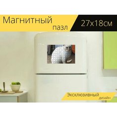 Магнитный пазл "Кошка, биритиба, маленький" на холодильник 27 x 18 см. Lots Prints