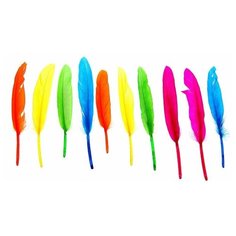 Набор перьев для декора 10 шт, размер 1 шт: 15 × 1,5 см, цвета микс Noname