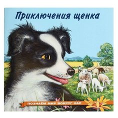 Познаём мир вокруг нас «Приключения щенка», 16 стр. Flamingo