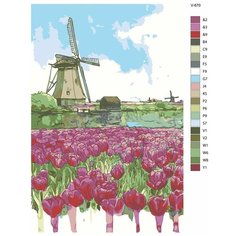 Картина по номерам V-870 "Голландия. Цветочная ферма", 60x90 см Brushes Paints