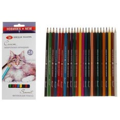 Карандаши акварельные набор 24 цвета, ЗХК "Сонет" Невская палитра