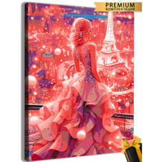 Картины по номерам Принцесса париж 40x50