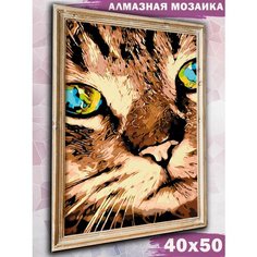 Алмазная мозаика на подрамнике Paintboy