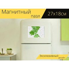 Магнитный пазл "Листья, зелень, листва" на холодильник 27 x 18 см. Lots Prints