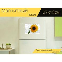 Магнитный пазл "Подсолнух, цветок, цвести" на холодильник 27 x 18 см. Lots Prints