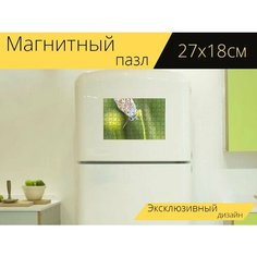 Магнитный пазл "Аргус, бабочка, цветок" на холодильник 27 x 18 см. Lots Prints