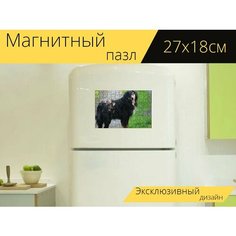 Магнитный пазл "Собака, бернский зенненхунд, улыбка" на холодильник 27 x 18 см. Lots Prints