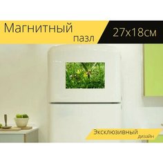 Магнитный пазл "Пчела, цветок, трава" на холодильник 27 x 18 см. Lots Prints