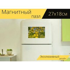 Магнитный пазл "Мимоза, женщина, любовь" на холодильник 27 x 18 см. Lots Prints