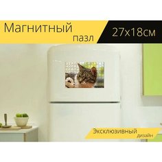 Магнитный пазл "Кот, игрушка, плюшевая собака" на холодильник 27 x 18 см. Lots Prints