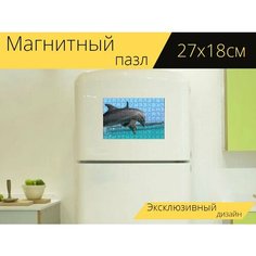 Магнитный пазл "Дельфин, пунта кана, карибский бассейн" на холодильник 27 x 18 см. Lots Prints