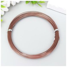 Проволока для рукоделия "Астра" 1 мм, 10 м, тёмно-коричневый Astra & Craft