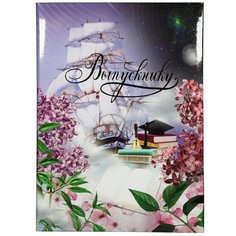 Портфолио папка Выпускнику А4 Космос с 3мя файлами ламинированная Noname