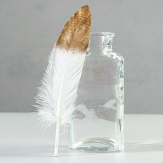 Набор перьев гуся 15-20 см, 10 шт, бело-золотой Noname