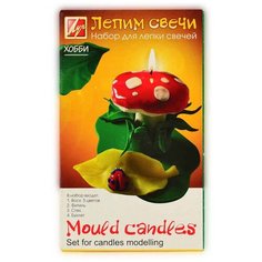 Луч Набор для лепки свечей "Лепим свечи" 21С 1390-08
