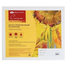 Холст Невская палитра Сонет на картоне мелкозернистый 30 х 35 см, DK13701-30х35 белый 35 см 30 см