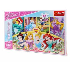 Пазлы 24 детали макси "Магия воспоминаний" Trefl