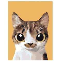 Картина по номерам, "Живопись по номерам", 75 x 100, A550, кот, животное, большие глаза, изолированный фон, портрет