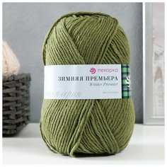 Пряжа "Зимняя премьера" 50%меринос. шерсть, 50% акрил объёмный 150м/100гр (494-Св. хаки) Пехорка