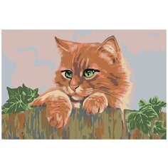 Картина по номерам, "Живопись по номерам", 72 x 108, A122, рыжий, котёнок, забор, трава, природа