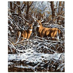 Картина по номерам, "Живопись по номерам", 80 x 100, A357, два оленя, природа, лес, зима, снег