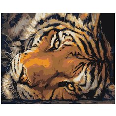 Картина по номерам, "Живопись по номерам", 48 x 60, Z-AB213